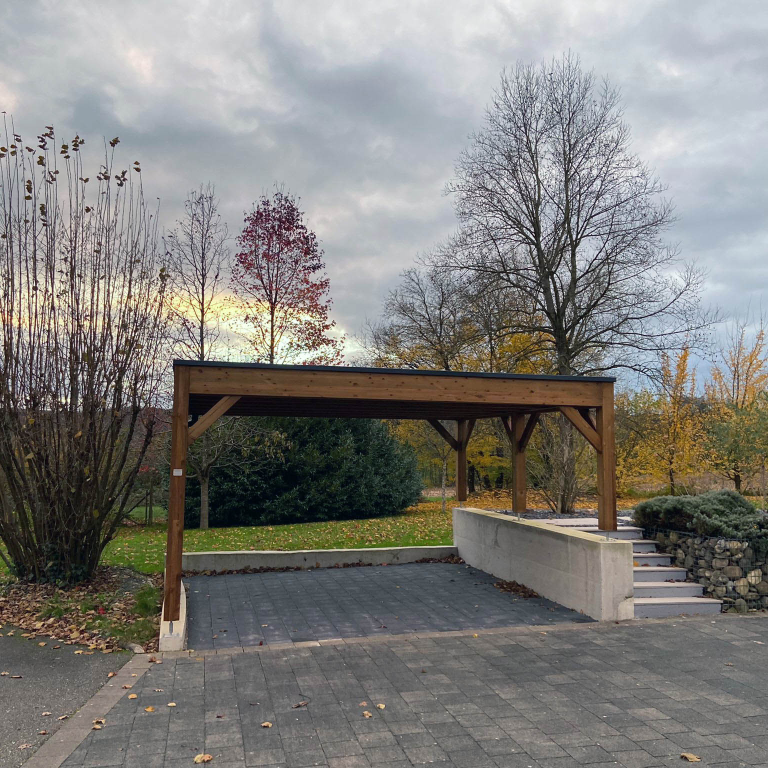 Carport en bois avec abri de jardin, Fabricant Alsace